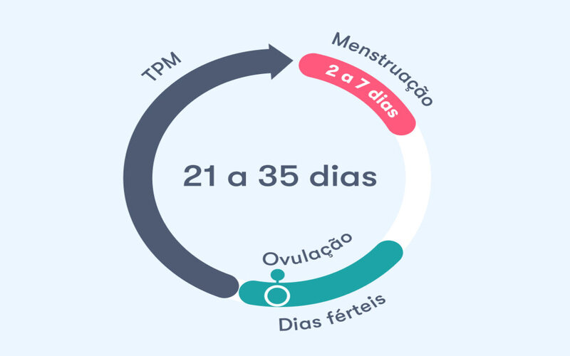 Calculadora menstrual 2